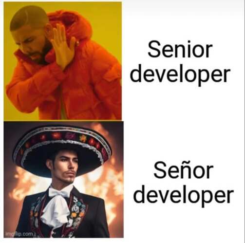 senor-developer