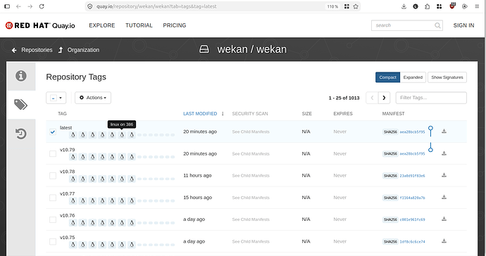wekan-on-386